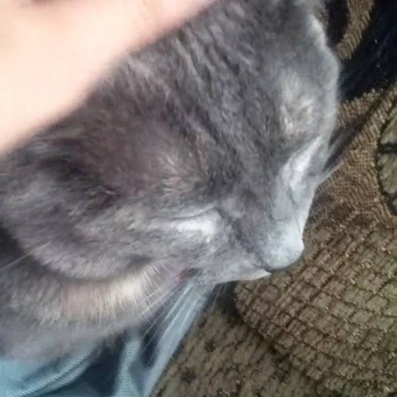 Meet your Posher, Rita - Picture 1 of 1